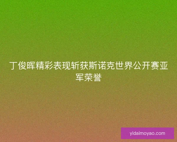 丁俊晖精彩表现斩获斯诺克世界公开赛亚军荣誉
