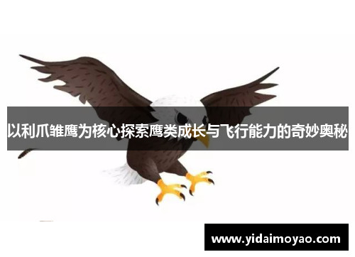 以利爪雏鹰为核心探索鹰类成长与飞行能力的奇妙奥秘